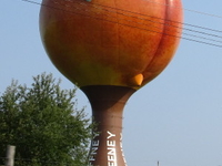Peachoid Peachoid