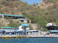 Rodadero Sea Aquarium and Museum Rodadero Sea Aquarium and Museum