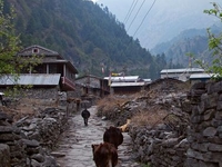Dharapani