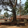 Puthoorppilly Sree Krishnaswamy Temple Puthoorppilly Sree Krishnaswamy Temple