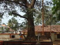 Puthoorppilly Sree Krishnaswamy Temple Puthoorppilly Sree Krishnaswamy Temple