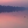 Manjaly Manjaly
