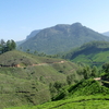 Kannan Devan Hills Kannan Devan Hills