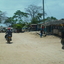 Shimoni