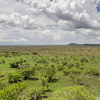 Pian Upe Wildlife Reserve