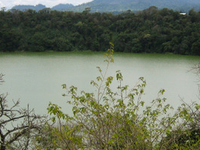 Lake Duluti
