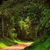 Kibaale District