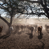 Omaheke Region Omaheke Region