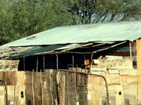 Khorixas
