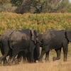 Bwabwata National Park Bwabwata National Park