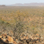 Mokolodi Nature Reserve Mokolodi Nature Reserve