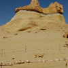 Wadi El Hitan