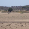 Thuli Parks and Wildlife Land Thuli Parks and Wildlife Land