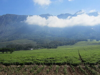 Mulanje Mulanje