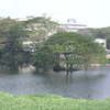 Chetpet Chetpet