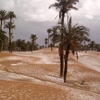Bechar Bechar