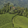 Ilam
