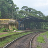 Dabolim