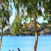 Mangochi