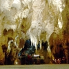 Waitomo Glowworm Caves
