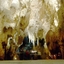 Waitomo Glowworm Caves