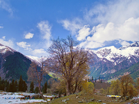 Srinagar, Phalgam, Gulmarg, Sonamarg Tour Package. Srinagar, Phalgam, Gulmarg, Sonamarg Tour Package.