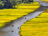 Hoa Lu Tam Coc - 1 Day Tour Hoa Lu Tam Coc - 1 Day Tour