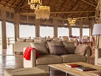 4 Days Luxury Wildlife Safari Northern Circuit Tanzania
