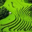Vietnam Vietnam