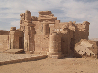 Back to Nature in Dakhala Oasis Back to Nature in Dakhala Oasis