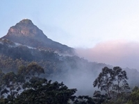 Adam's Peak Adam's Peak