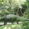 Allen Forest Zoo Allen Forest Zoo