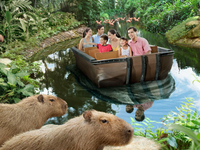 River Safari River Safari
