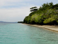 Ambon Island Ambon Island