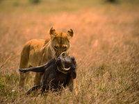 Adventure Kenya - 8 Days Tour