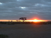Amboseli 1 Night Amboseli 1 Night