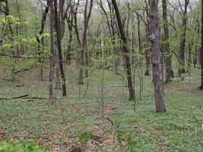 Ambrose A. Call State ParkTitle