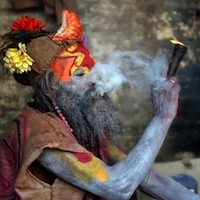 Amit Dogra Amit Dogra