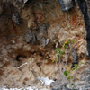 Ancient Sites of Kokas Ancient Sites of Kokas