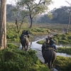 Jaldapara Wildlife Sanctuary