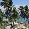 Apo Island