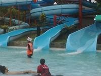 Aquatica Aquatica