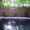 Ardent Hot Spring Ardent Hot Spring