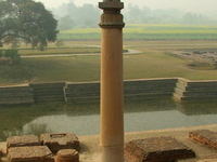 Pillars Of Ashoka Pillars Of Ashoka