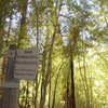 Aspen Grove Trail 2E05 Aspen Grove Trail 2E05