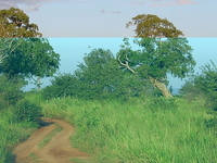 Udawalawe National Park