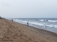 Auroville Beach