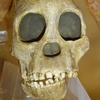 Cradle of Humankind