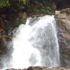 Sinharaja Forest Reserve