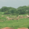 Aartha Kunj Aartha Kunj